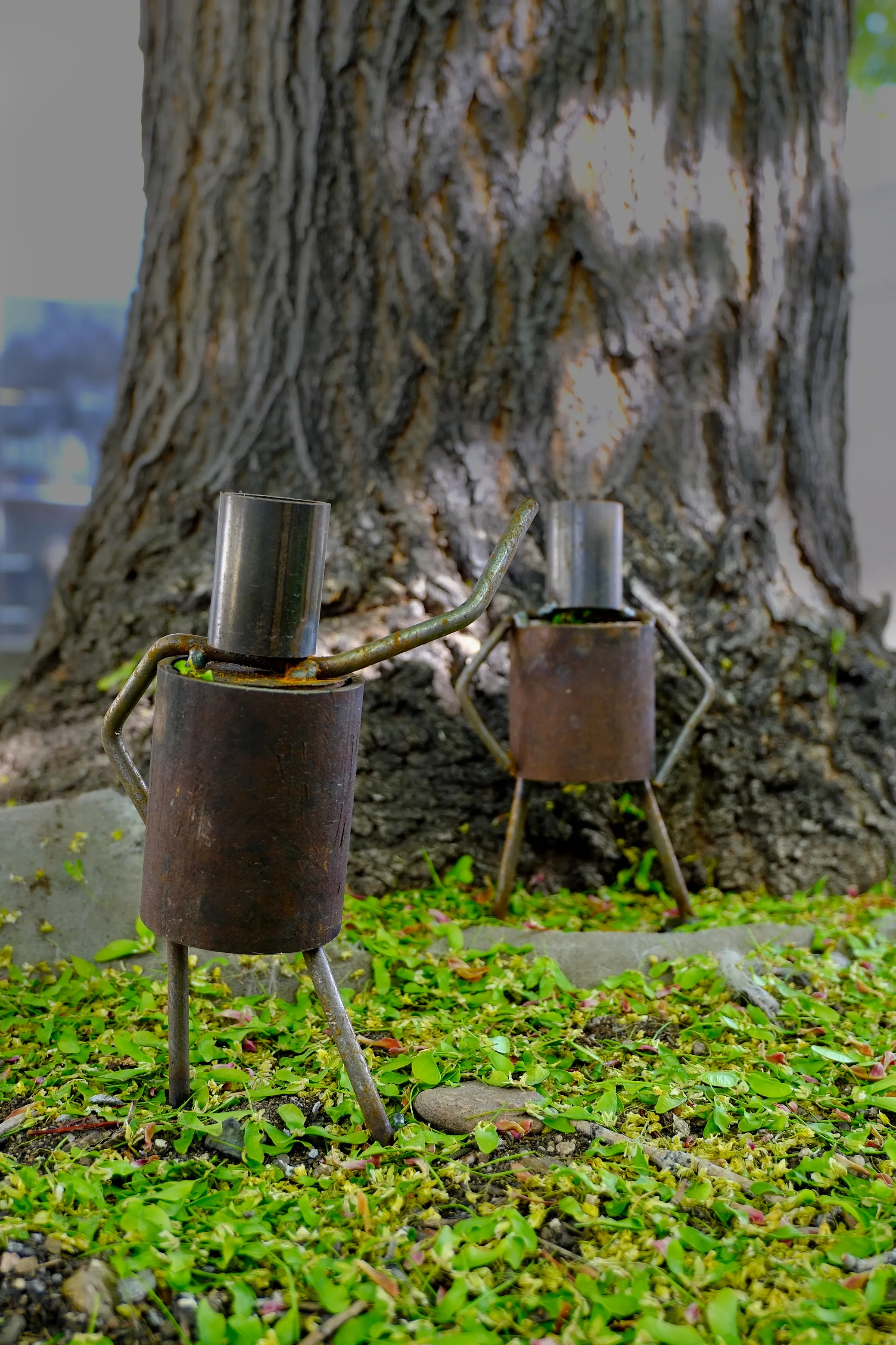 Two scrap-metal robot sculptures standing at the base of a large tree.